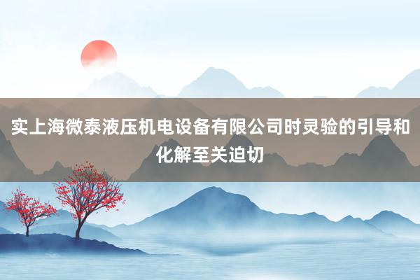 实上海微泰液压机电设备有限公司时灵验的引导和化解至关迫切